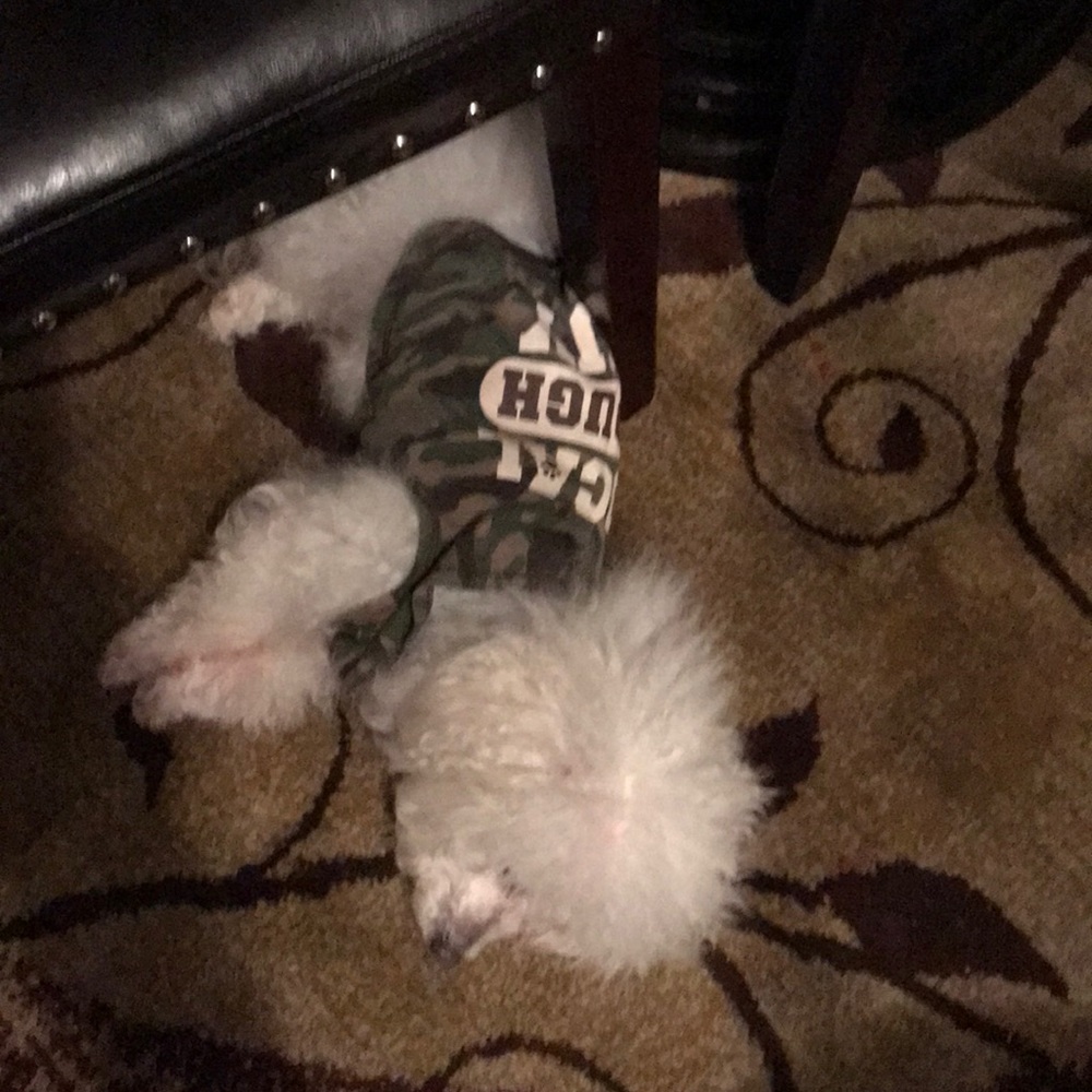 Meet your Posher, Ray